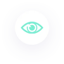 Vision-icon